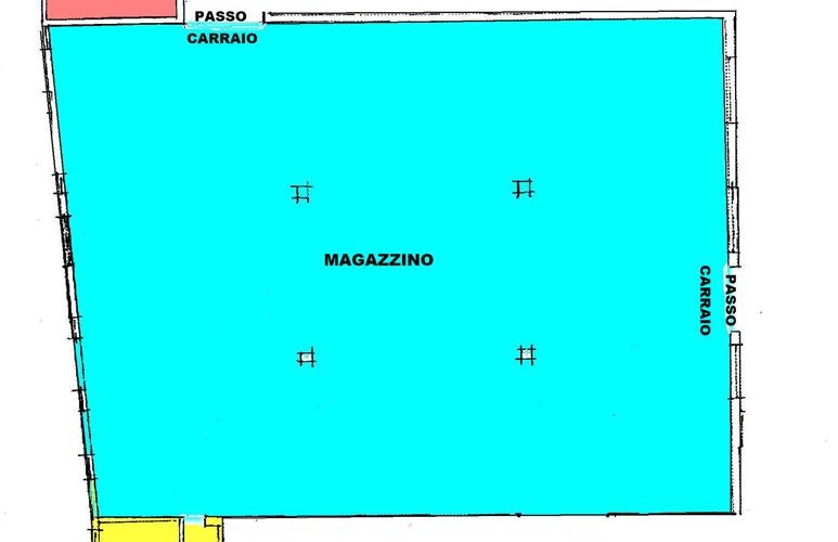 panza-2-copy