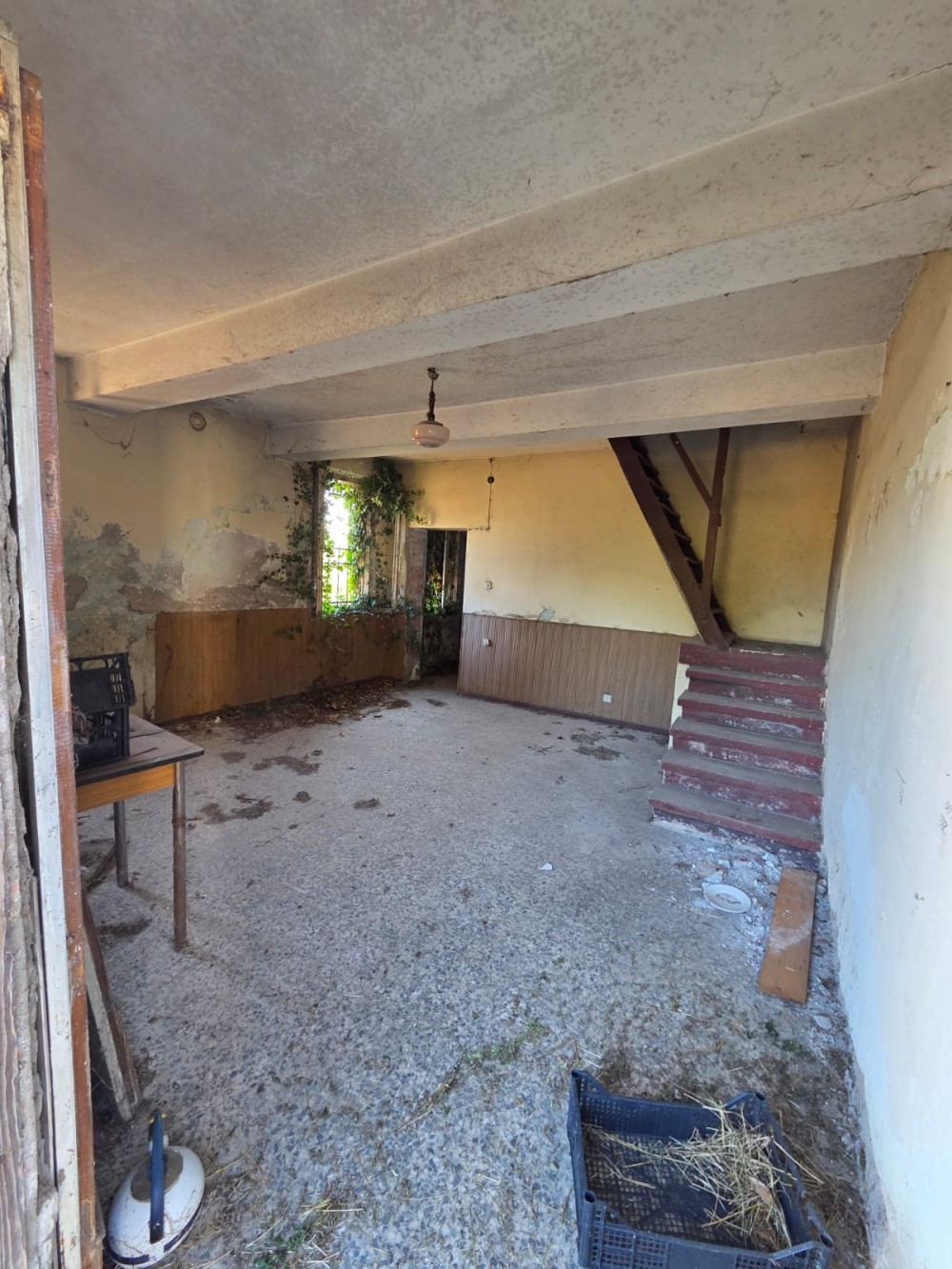 15124062-d61c-4161-99b3-2b9ff2e5b196