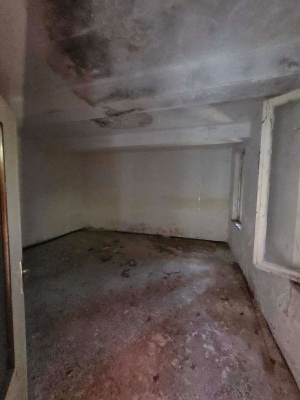 366e66fe-4055-4dc5-831a-ecfbc57b6691