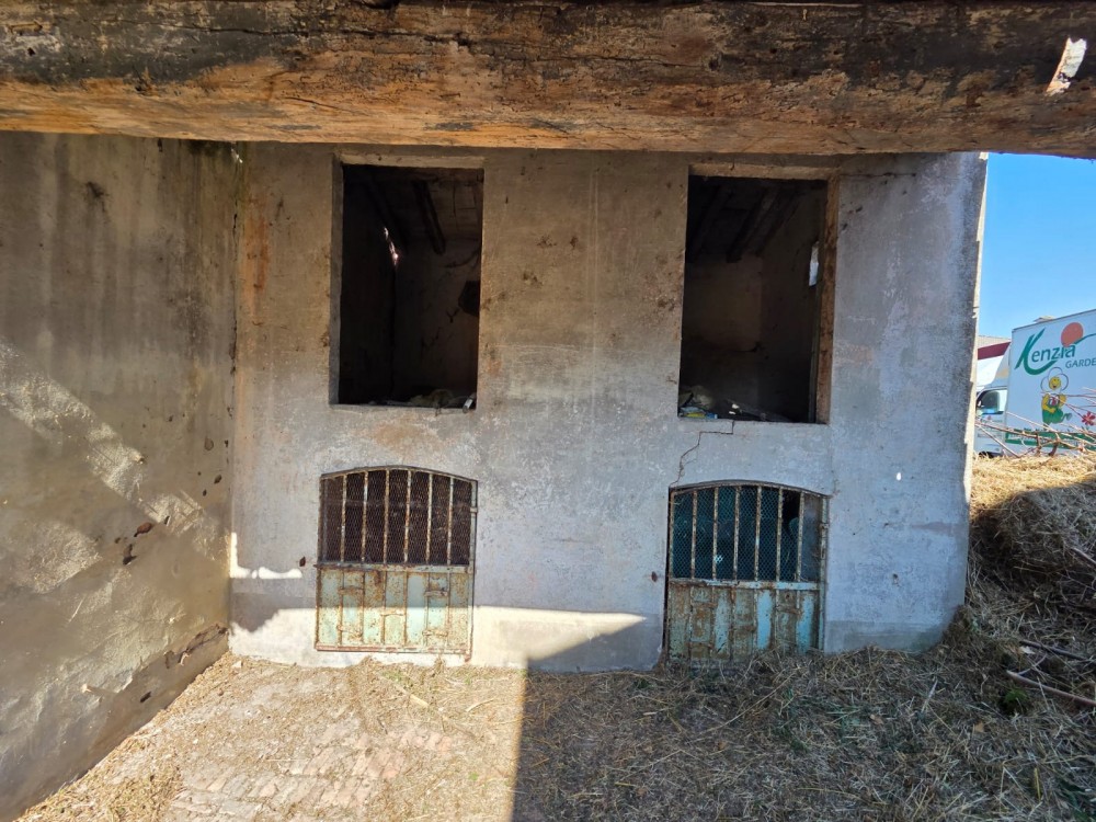 f95c1c51-7d1a-4749-9851-6e35aafba80c