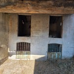 f95c1c51-7d1a-4749-9851-6e35aafba80c