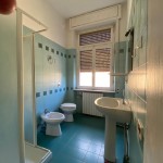 06e70f12-0c40-4ab6-a5cc-8c90cd491639