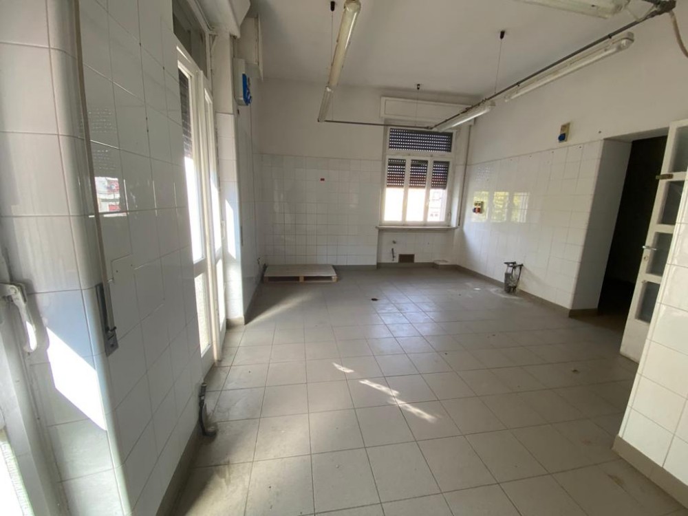 20a87533-2a21-4c0c-a6b3-5ae797c2b72b