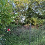PHOTO-2026-06-23-08-35-55(3)